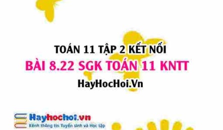 Bài 8.22 SGK Toán 11 Tập 2 Kết nối tri thức